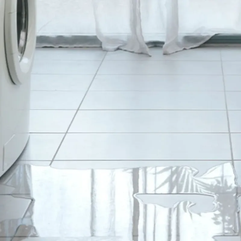 Appliance Leak Cleanup in Weldon, NC