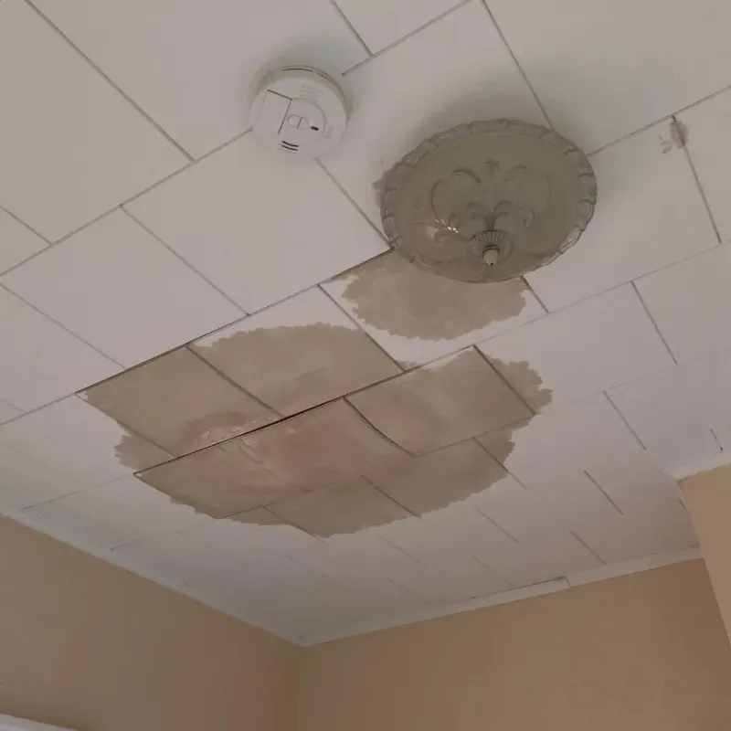 Ceiling Water Damage Repair in Weldon, NC