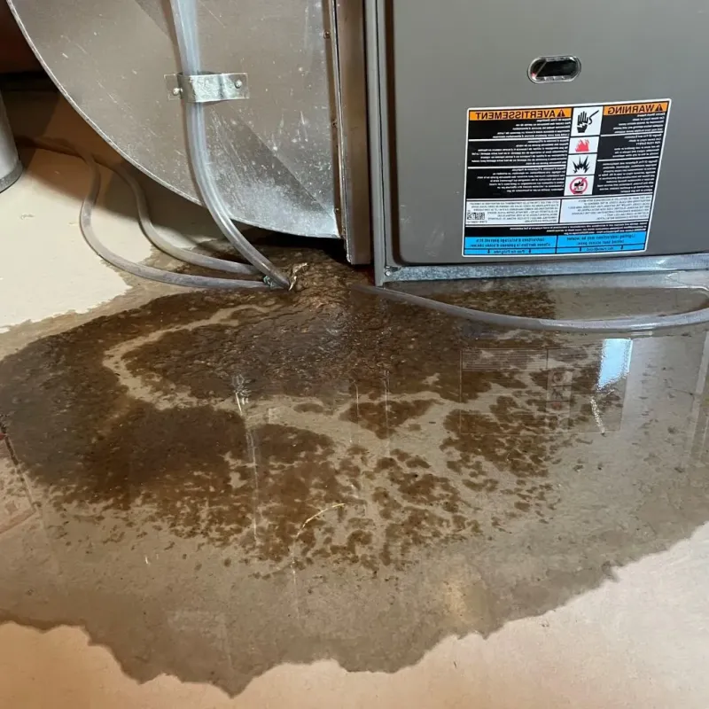 Pipe Burst and Leak Restoration in Weldon, NC