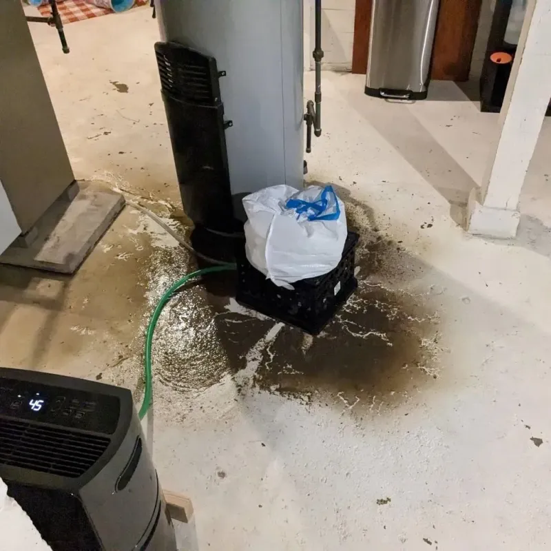 Sewage Backup Cleanup Service in Weldon, NC